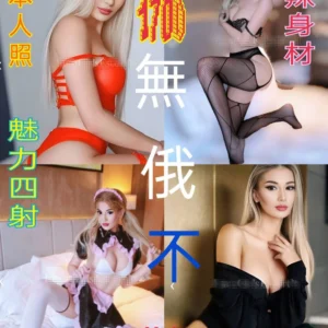 台北定點茶-桑塔納/170/48/23/D