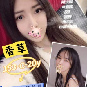 台北定點茶-香草/153/45/20/C