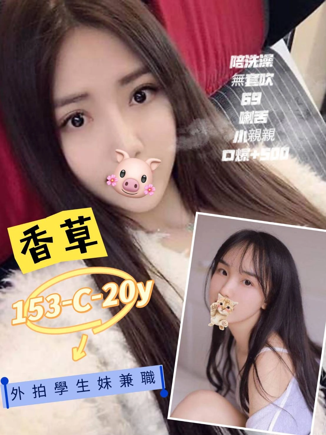 台北定點茶-香草/153/45/20/C