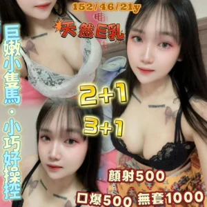 桃園定點茶-閃閃/152/46/21/E