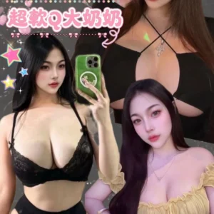 新北定點茶-桃芝/165/55/23/G