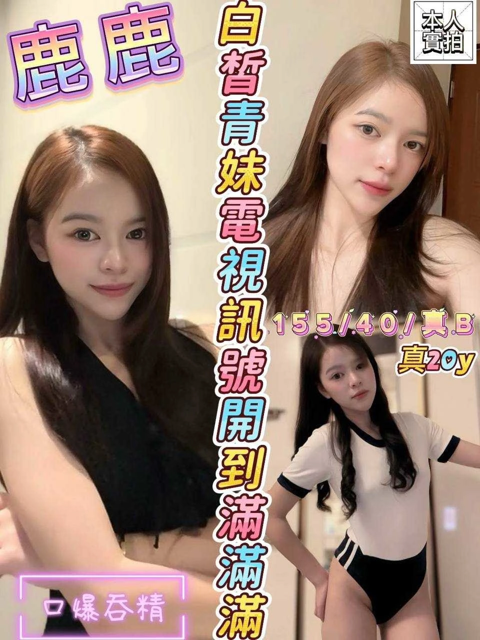 新竹定點茶-鹿鹿/155/40/20/B