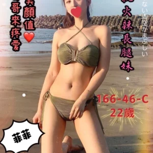 台中外送茶-菲菲/166/46/22/C